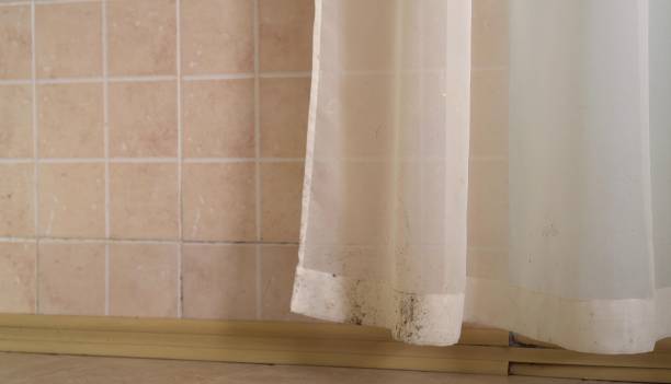 Best Mold Odor Removal Services  in Deland, FL