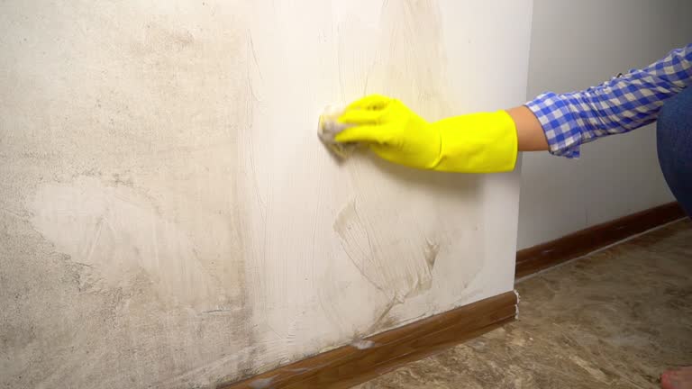 Best Biohazard Mold Removal  in Deland, FL