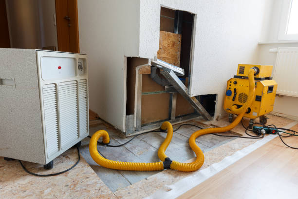 Best Comprehensive Air Testing for Mold Contaminants  in Deland, FL