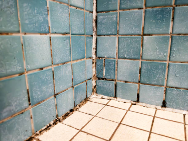 Best Real Estate Mold Inspection  in Deland, FL