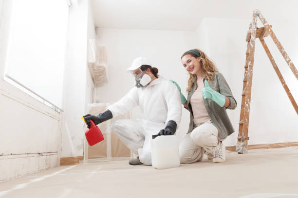 Best Post-Construction Mold Inspection  in Deland, FL