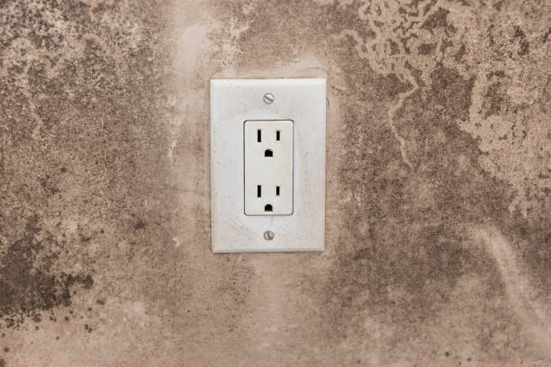 Best Water Damage & Mold Remediation  in Deland, FL