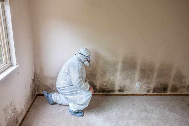 Best Crawl Space Mold Remediation  in Deland, FL
