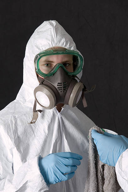 Environmental Consulting for Mold Prevention in Deland, FL